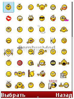 bombus3_full.png